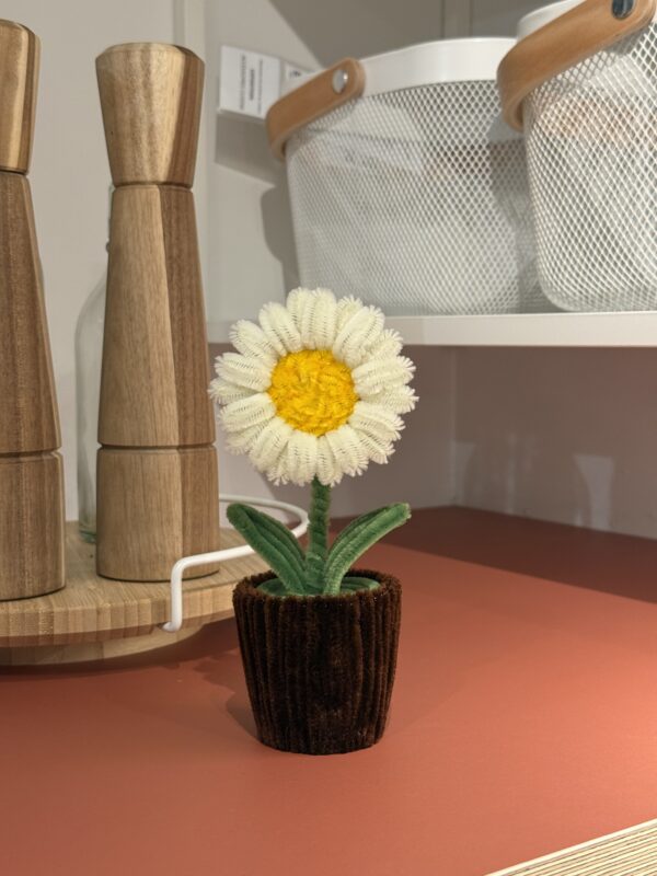 Petit pot - Marguerite