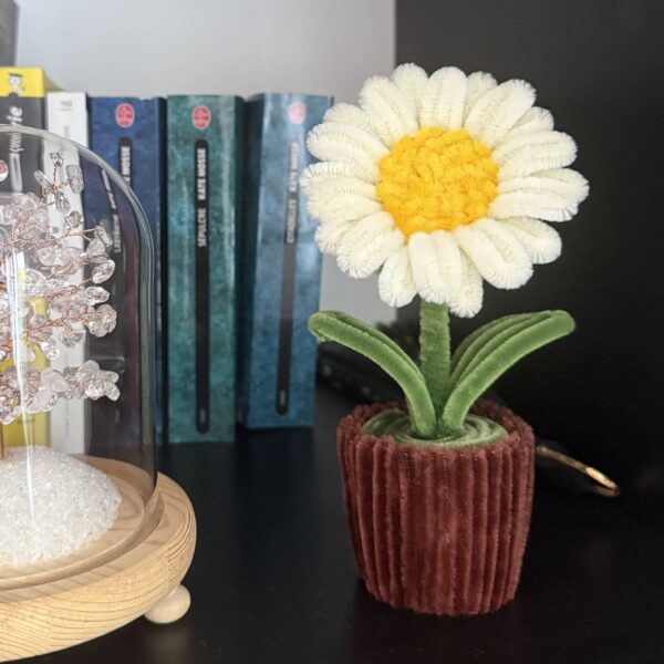 Petit pot - Marguerite