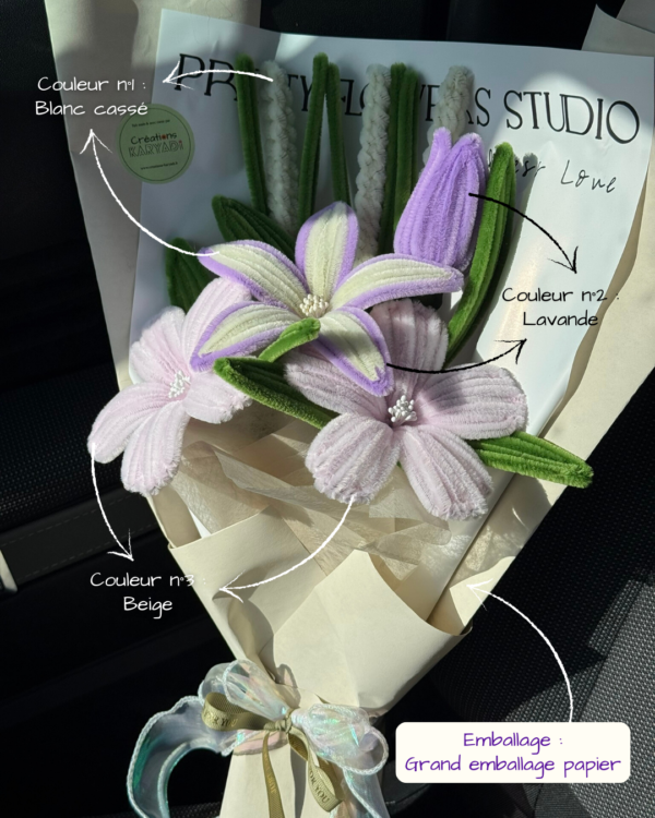 Image du produit