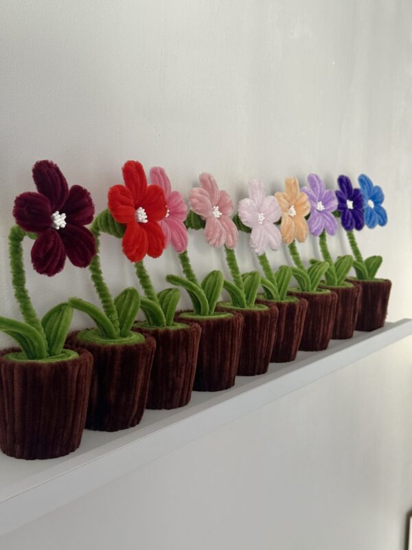 Petit pot hibiscus à personnaliser